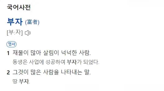 국어사전 정의 — 부자