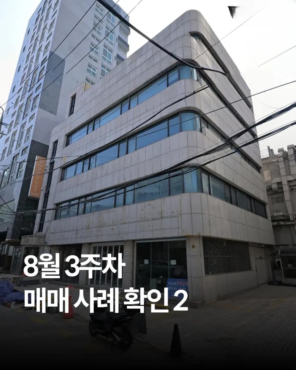 2025년 8월 마포 권역 빌딩 매매 인포그래픽
